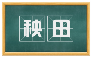 秧田