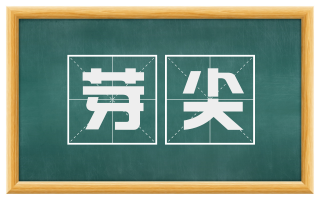 芽尖