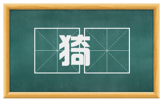 猗柅