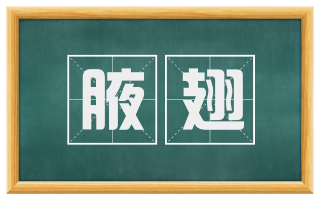 腋翅