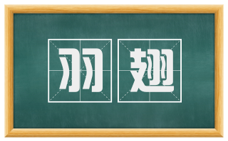 羽翅