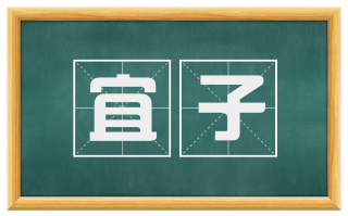 宜子