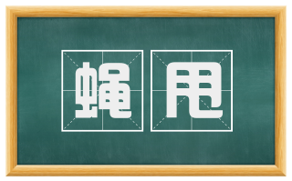 蝇甩