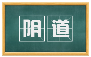 阴道