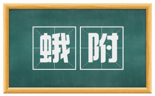 蛾附