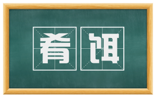 肴饵
