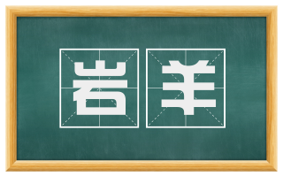 岩羊