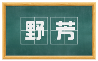 野芳