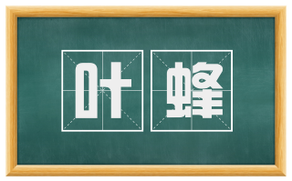 叶蜂