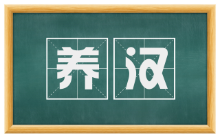 养汉