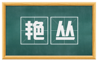 艳丛