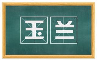 玉兰