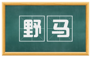 野马