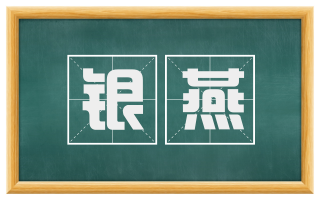 银燕