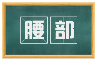 腰部