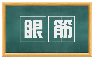 眼筋