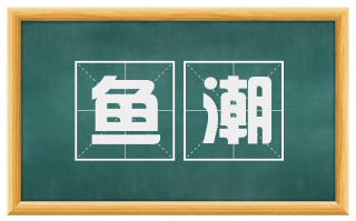 鱼潮