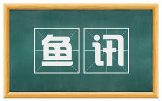 鱼讯