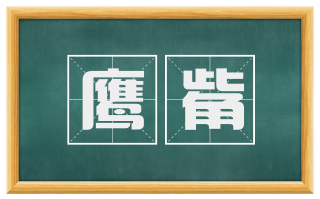 鹰觜