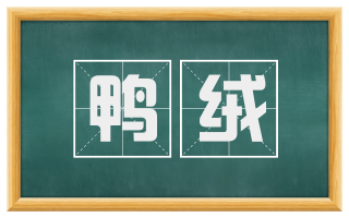 鸭绒