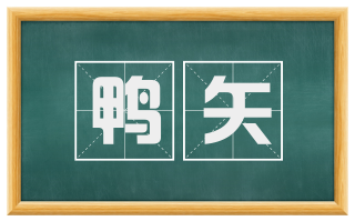 鸭矢