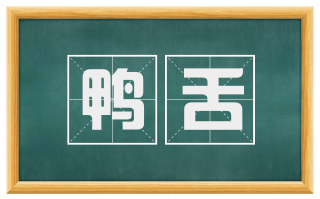 鸭舌