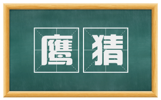鹰猜