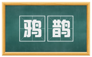 鸦鹊