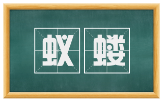 蚁蝼