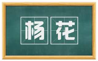 杨花