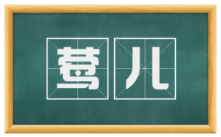 莺儿