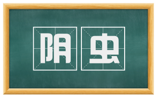 阴虫