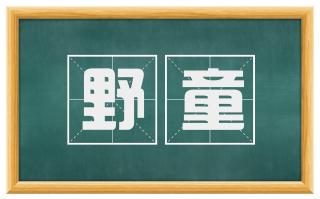 野童