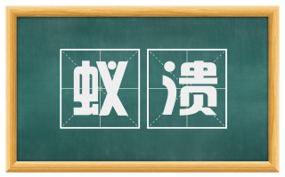 蚁溃
