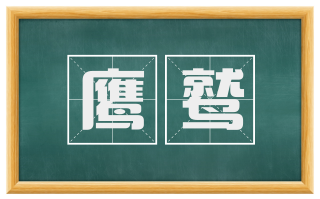鹰鹫