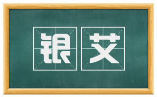 银艾
