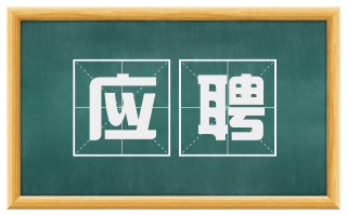 应聘