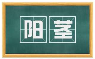 阳茎