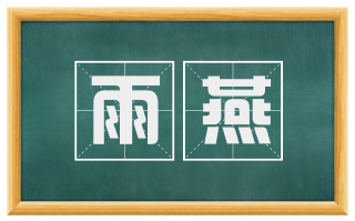 雨燕