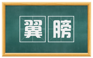 翼膀
