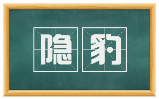 隐豹