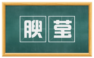 腴莹