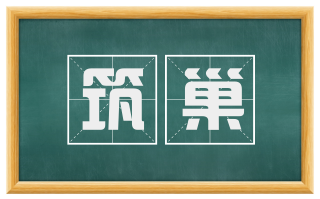 筑巢