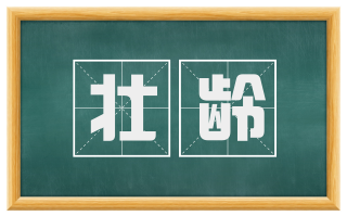 壮龄