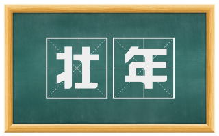 壮年