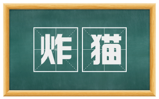 炸猫