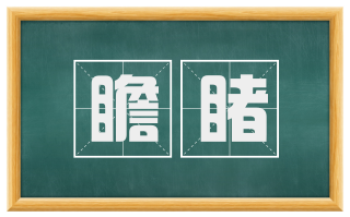 瞻睹