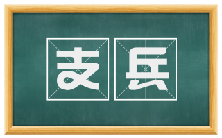 支兵