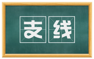 支线