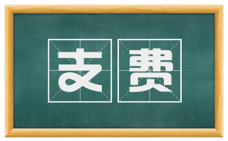 支费